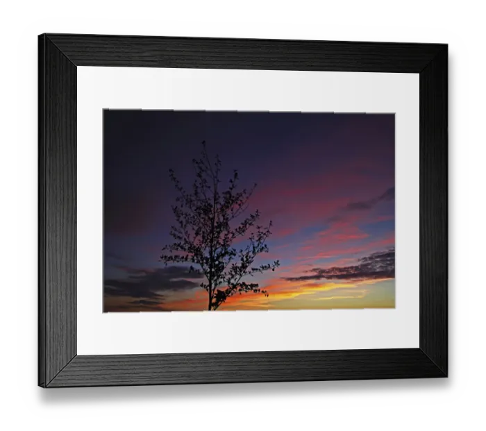Framed Print : Tree silhouette against the evening sky, Mittelberg, Biberach an der Riss, Upper Swabia, Baden-Wurttemberg, Germany Framed Print : Tree silhouette against the evening sky, Mittelberg, Biberach an der Riss, Upper Swabia, Baden-Wurttemberg, Germany