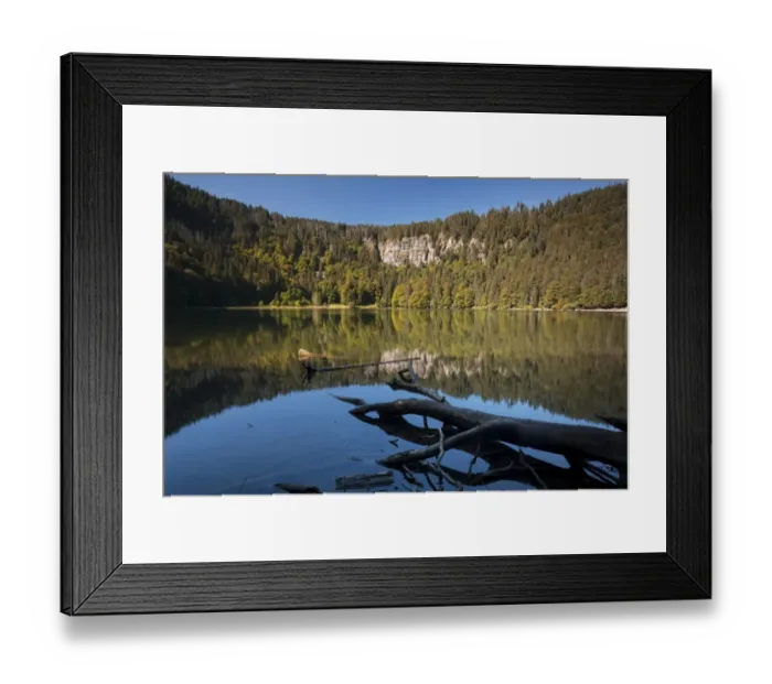 Framed Print : Forest being reflected in lake Feldsee, Feldberg, Black Forest mountain range, Baden-Wuerttemberg, Germany, Europe Framed Print : Forest being reflected in lake Feldsee, Feldberg, Black Forest mountain range, Baden-Wuerttemberg, Germany, Europe