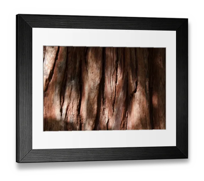 Framed Print : Bark of a California incense cedar -Calocedrus decurrens- Framed Print : Bark of a California incense cedar -Calocedrus decurrens-