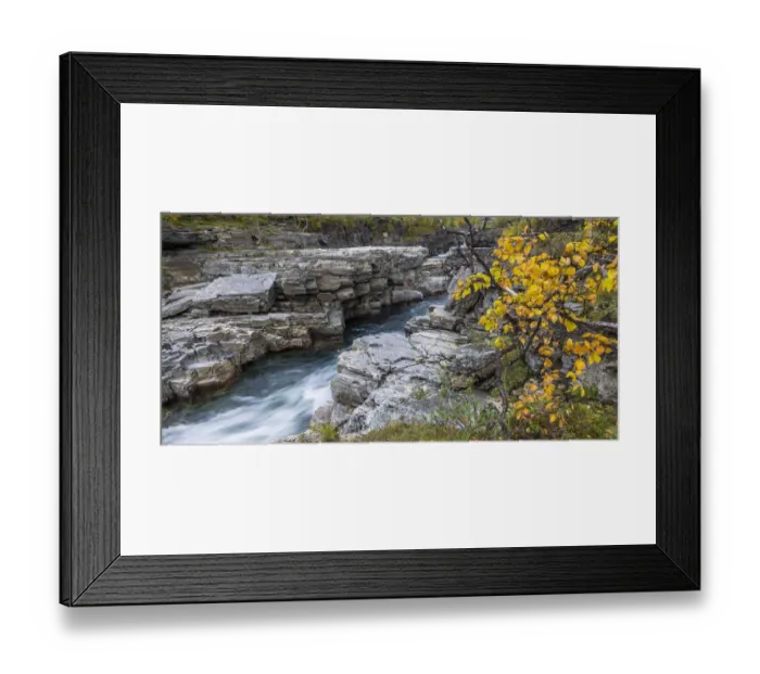 Framed Print : Autumn colours at the Abiskojakka river, Abisko National Park, Norrbotten County, Sweden Framed Print : Autumn colours at the Abiskojakka river, Abisko National Park, Norrbotten County, Sweden