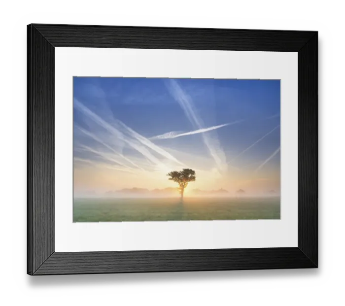 Framed Print : Condensation trails in the sky, sunrise in Basse, Lake Mariensee, Neustadt am Ruebenberge, Lower Saxony, Germany, Europe Framed Print : Condensation trails in the sky, sunrise in Basse, Lake Mariensee, Neustadt am Ruebenberge, Lower Saxony, Germany, Europe