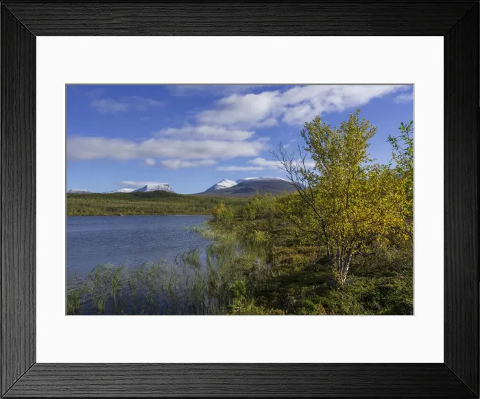 Framed Print : Vuolio Njahkajavri Lake, Lapporten trough valley, glacial trough, at the back, Abisko National Park, Norrbotten County, Sweden Framed Print : Vuolio Njahkajavri Lake, Lapporten trough valley, glacial trough, at the back, Abisko National Park, Norrbotten County, Sweden