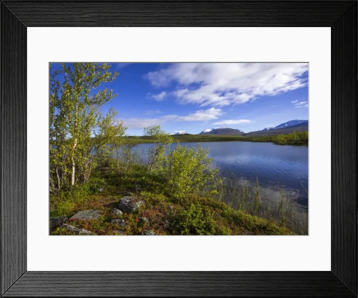 Framed Print : Vuolio Njahkajavri Lake, Lapporten trough valley, glacial trough, at the back, Abisko National Park, Norrbotten County, Sweden Framed Print : Vuolio Njahkajavri Lake, Lapporten trough valley, glacial trough, at the back, Abisko National Park, Norrbotten County, Sweden