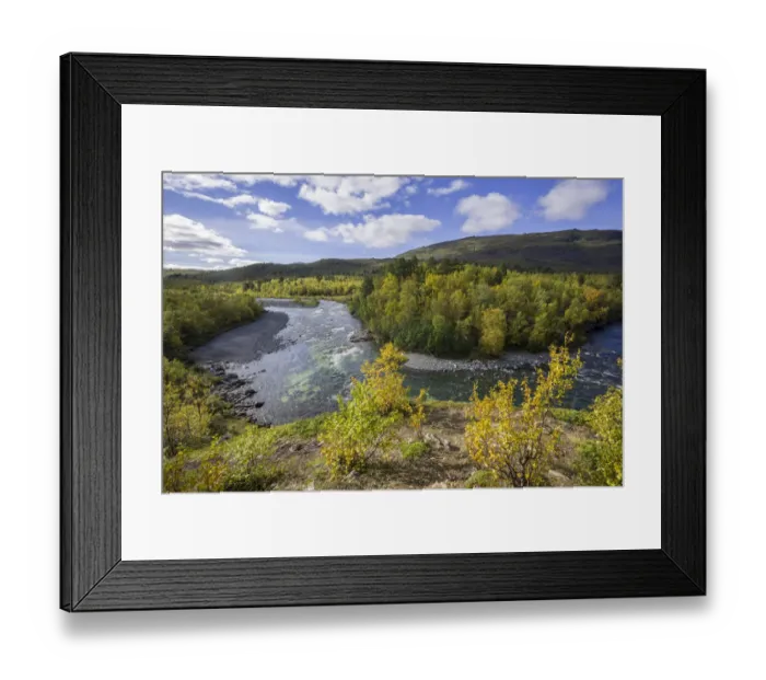 Framed Print : Autumn coloured birch trees on the Abiskojakka river, Abisko National Park, Norrbotten County, Sweden Framed Print : Autumn coloured birch trees on the Abiskojakka river, Abisko National Park, Norrbotten County, Sweden