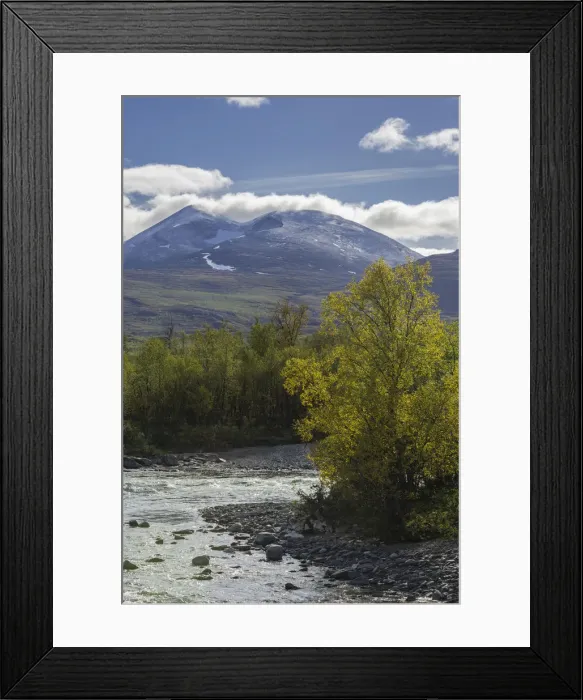 Framed Print : Autumn coloured birch trees on the Abiskojakka river, Abisko National Park, Norrbotten County, Sweden Framed Print : Autumn coloured birch trees on the Abiskojakka river, Abisko National Park, Norrbotten County, Sweden