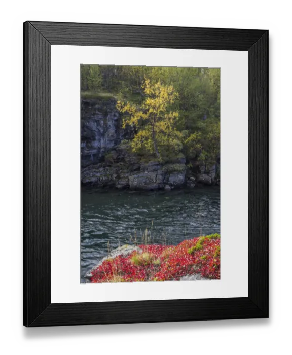Framed Print : Rocks at the Abiskojakka river, Abisko National Park, Norrbotten County, Sweden Framed Print : Rocks at the Abiskojakka river, Abisko National Park, Norrbotten County, Sweden