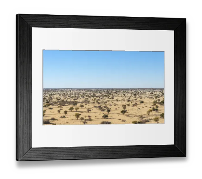 Framed Print : Wide landscape with trees, Kalahari, Namibia Framed Print : Wide landscape with trees, Kalahari, Namibia