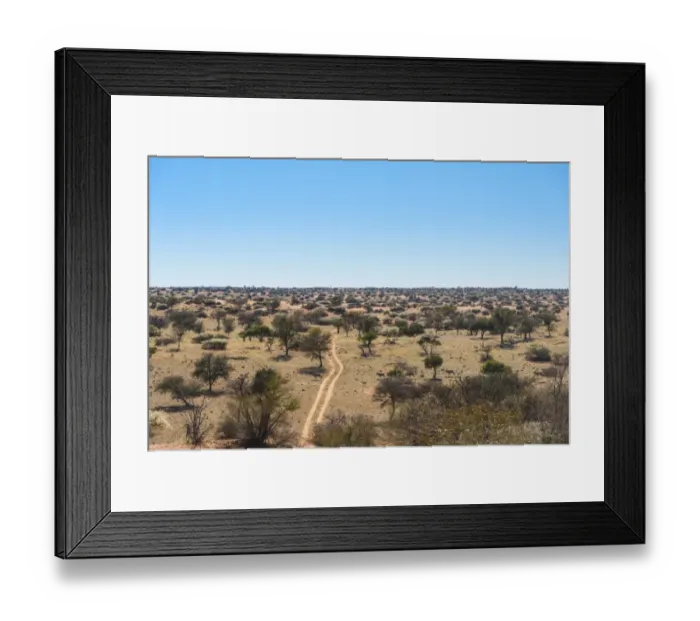 Framed Print : Wide landscape with trees, Kalahari, Namibia Framed Print : Wide landscape with trees, Kalahari, Namibia