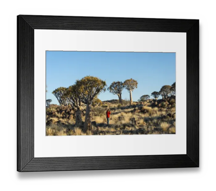 Framed Print : Woman taking photos of quiver trees, Karas Region, Namibia