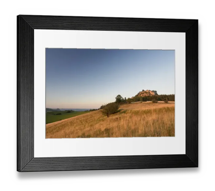 Framed Print : View of a rough pasture with the Hegau volcano in the evening light and the Hohentwiel ruins, Baden-Wuerttemberg, Germany, Europe Framed Print : View of a rough pasture with the Hegau volcano in the evening light and the Hohentwiel ruins, Baden-Wuerttemberg, Germany, Europe