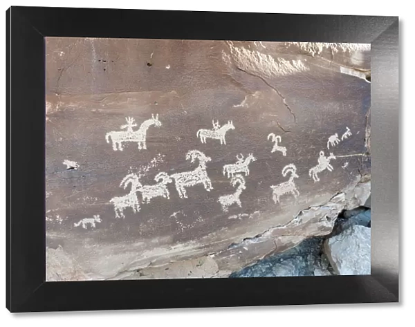 Petroglyphs of the Ute Indians, animals and riders on horseback carved in a rock, Arches National Park, Utah, Western United States, United States of America, North America