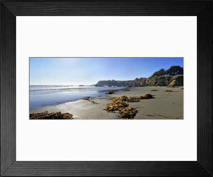 Framed Print : Brown algae -Phaeophyceae- on the sandy beach, Pacific Coast, Cambria, California, United States Framed Print : Brown algae -Phaeophyceae- on the sandy beach, Pacific Coast, Cambria, California, United States