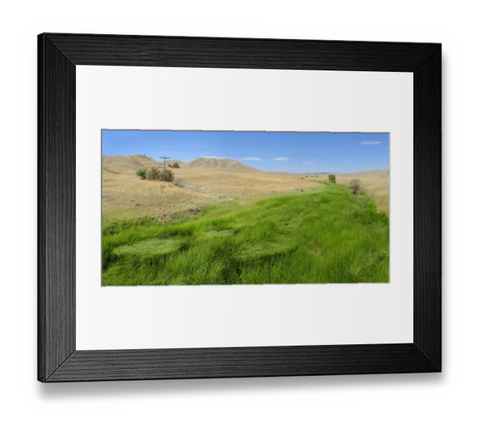 Framed Print : Green fertile river bed of the Cholame Creek in the middle of the dry California hills and grasslands at the Bitter Water Road, Shandon, California, United States Framed Print : Green fertile river bed of the Cholame Creek in the middle of the dry California hills and grasslands at the Bitter Water Road, Shandon, California, United States