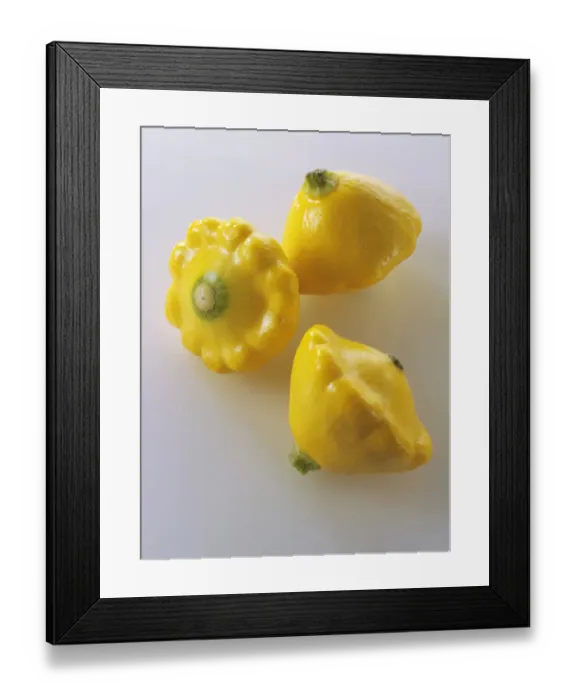 Framed Print : Mini yellow Petit Pan squashes Framed Print : Mini yellow Petit Pan squashes