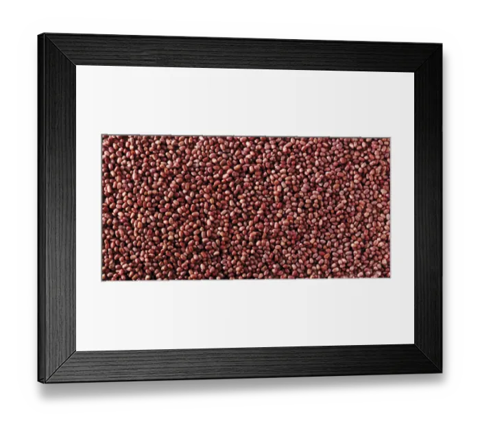 Framed Print : Azuki beans Framed Print : Azuki beans