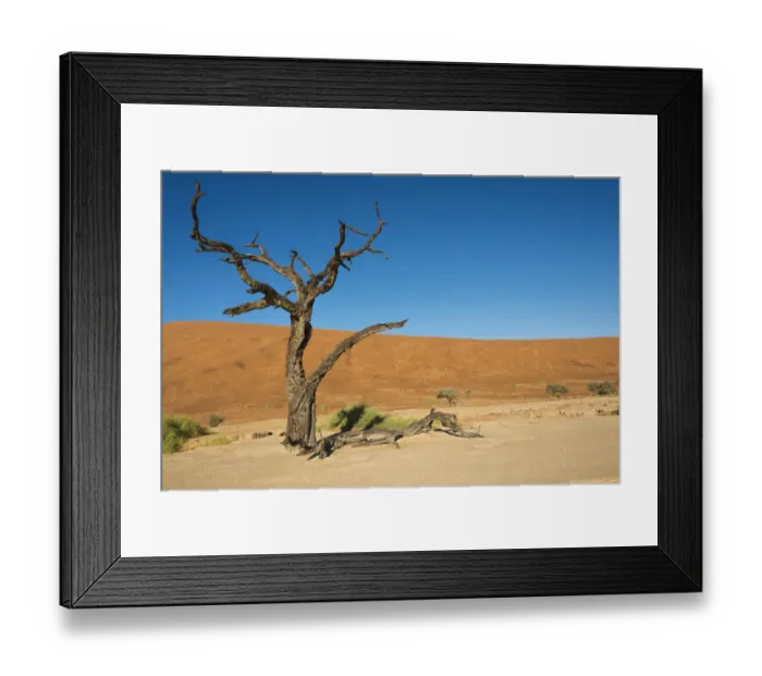 Framed Print : Dead tree in the salt and clay pan, Dead Pan, Sossusvlei, Namib Desert, Namibia Framed Print : Dead tree in the salt and clay pan, Dead Pan, Sossusvlei, Namib Desert, Namibia