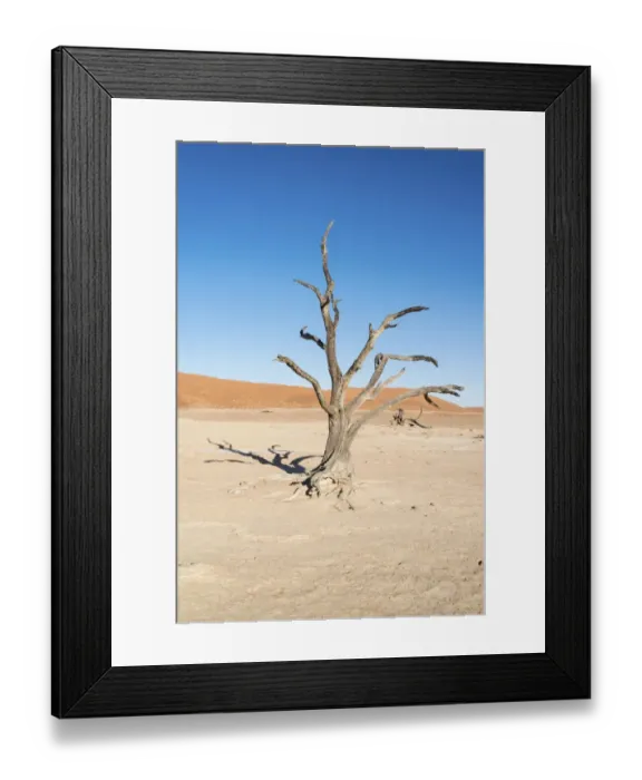 Framed Print : Dead tree in a dried-up salt and clay pan, Dead Pan, Sossusvlei, Namib Desert, Namibia Framed Print : Dead tree in a dried-up salt and clay pan, Dead Pan, Sossusvlei, Namib Desert, Namibia