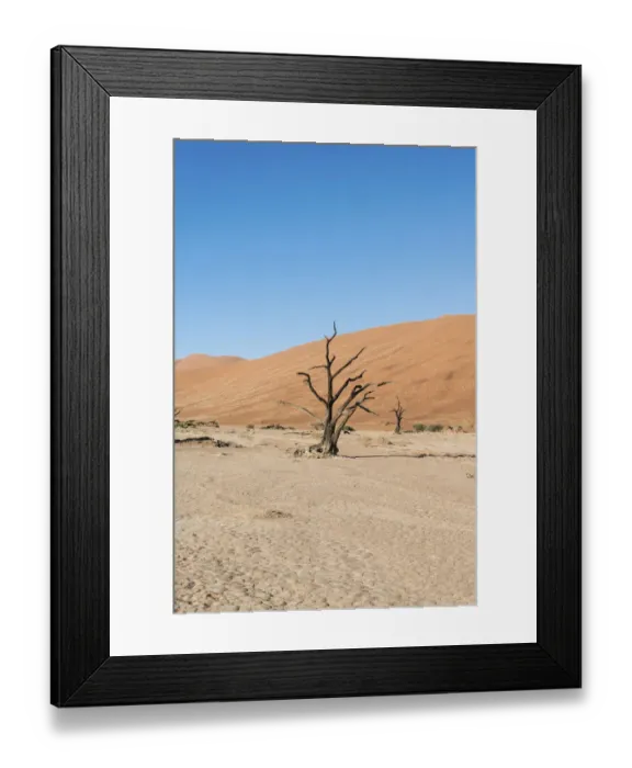 Framed Print : Dead tree in a dried-up salt and clay pan, Dead Pan, Sossusvlei, Namib Desert, Namibia Framed Print : Dead tree in a dried-up salt and clay pan, Dead Pan, Sossusvlei, Namib Desert, Namibia