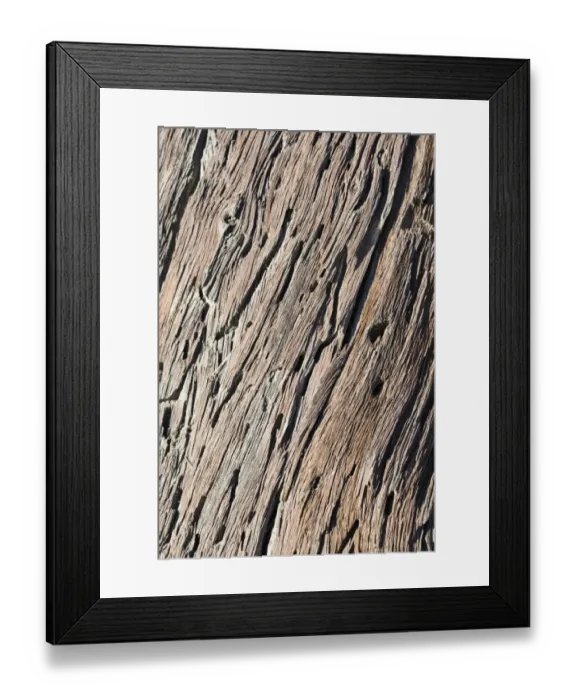 Framed Print : Dead wood, detail, Dead Pan, Sossusvlei, Namib Desert, Namibia Framed Print : Dead wood, detail, Dead Pan, Sossusvlei, Namib Desert, Namibia