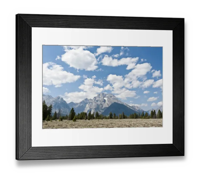Framed Print : Landscape with Sagebrush -Artemisia tridentata-, forest and Mount Moran, Grand Teton National Park, Teton Range, Rocky Mountains, Wyoming, Western United States, United States of America, North America Framed Print : Landscape with Sagebrush -Artemisia tridentata-, forest and Mount Moran, Grand Teton National Park, Teton Range, Rocky Mountains, Wyoming, Western United States, United States of America, North America