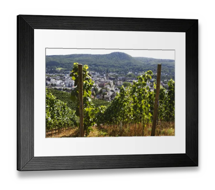Framed Print : Vines on the Rotweinwanderweg wine trail, Bad Neuenahr-Ahrweiler, Rhineland-Palatinate, Germany, Europe Framed Print : Vines on the Rotweinwanderweg wine trail, Bad Neuenahr-Ahrweiler, Rhineland-Palatinate, Germany, Europe