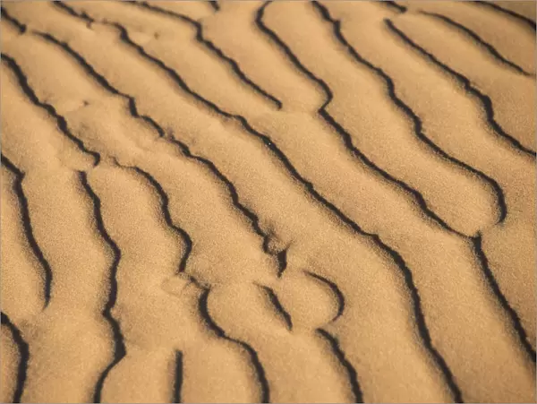 Wave pattern in the sand, Sossusvlei, Namib Naukluft Park, Namibia