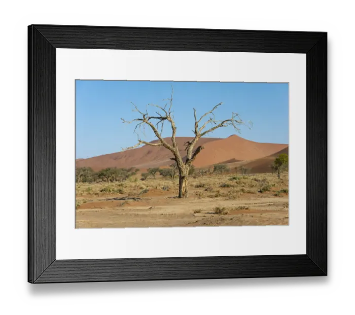 Framed Print : Dry tree in the dunes, Sossusvlei, Namib Naukluft Park, Namibia Framed Print : Dry tree in the dunes, Sossusvlei, Namib Naukluft Park, Namibia