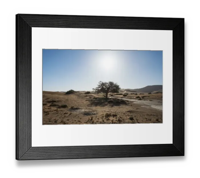 Framed Print : Dune landscape with oasis, Sossusvlei, Namib-Skeleton Coast National Park, Namibia Framed Print : Dune landscape with oasis, Sossusvlei, Namib-Skeleton Coast National Park, Namibia
