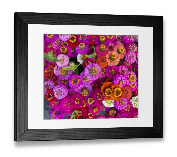 Framed Print : A bouquet of flowers in shades of red Framed Print : A bouquet of flowers in shades of red