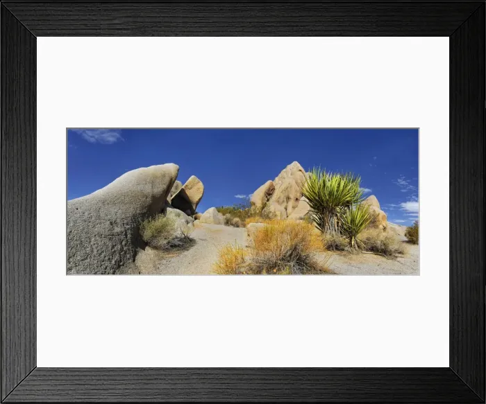 Framed Print : Huge granite rocks of Split Rocks and green Mojave Yucca or Spanish Dagger -Yucca schidigera-, Joshua Tree National Park, Desert Center, California, USA Framed Print : Huge granite rocks of Split Rocks and green Mojave Yucca or Spanish Dagger -Yucca schidigera-, Joshua Tree National Park, Desert Center, California, USA
