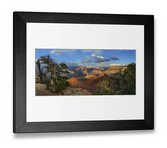 Framed Print : Gnarled old pine -Pinus- at the Grand Canyon, viewing point Mather Point, South Rim, Grand Canyon, at Tusayan, Arizona, USA Framed Print : Gnarled old pine -Pinus- at the Grand Canyon, viewing point Mather Point, South Rim, Grand Canyon, at Tusayan, Arizona, USA