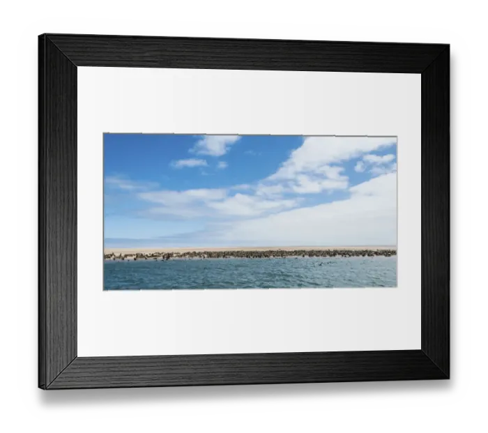 Framed Print : Colony of Brown Fur Seals or Cape Fur Seals -Arctocephalus pusillus- on a sandbank, near Walvis Bay, Namibia Framed Print : Colony of Brown Fur Seals or Cape Fur Seals -Arctocephalus pusillus- on a sandbank, near Walvis Bay, Namibia