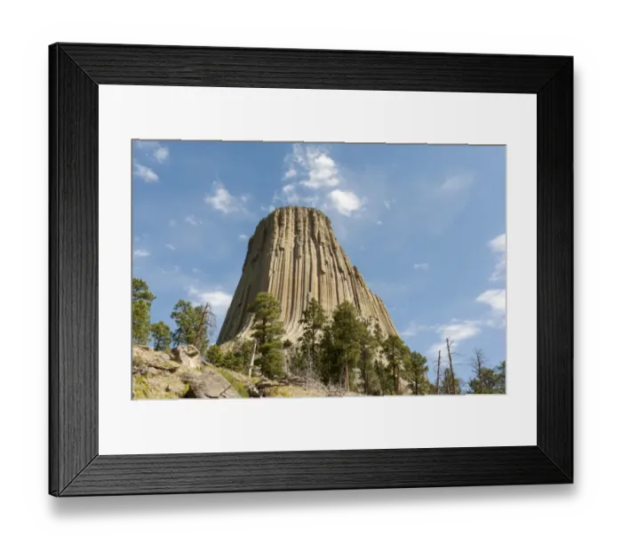 Framed Print : Monolith, phonolite volcanic rock, basalt, light forest of Ponderosa Pines -Pinus ponderosa-, Devils Tower National Monument, Wyoming, USA, United States of America, North America Framed Print : Monolith, phonolite volcanic rock, basalt, light forest of Ponderosa Pines -Pinus ponderosa-, Devils Tower National Monument, Wyoming, USA, United States of America, North America