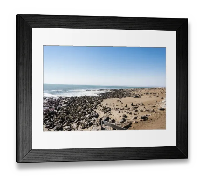 Framed Print : Colony of Brown Fur Seals or Cape Fur Seals -Arctocephalus pusillus-, Dorob National Park, Cape Cross, Namibia
