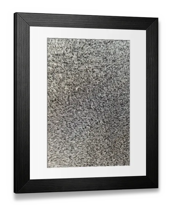 Framed Print : Close-up of sealskin, Brown Fur Seal or Cape Fur Seal -Arctocephalus pusillus-, Dorob National Park, Cape Cross, Namibia Framed Print : Close-up of sealskin, Brown Fur Seal or Cape Fur Seal -Arctocephalus pusillus-, Dorob National Park, Cape Cross, Namibia