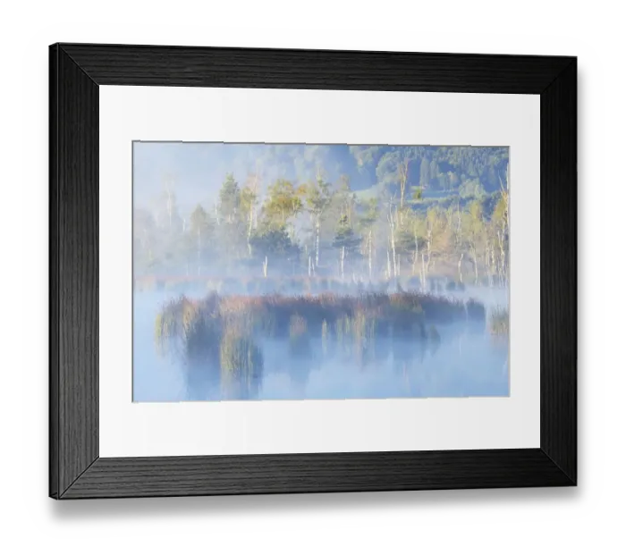 Framed Print : Morning mist over moorland pond, Nicklheim, Bavaria, Germany, Europe Framed Print : Morning mist over moorland pond, Nicklheim, Bavaria, Germany, Europe