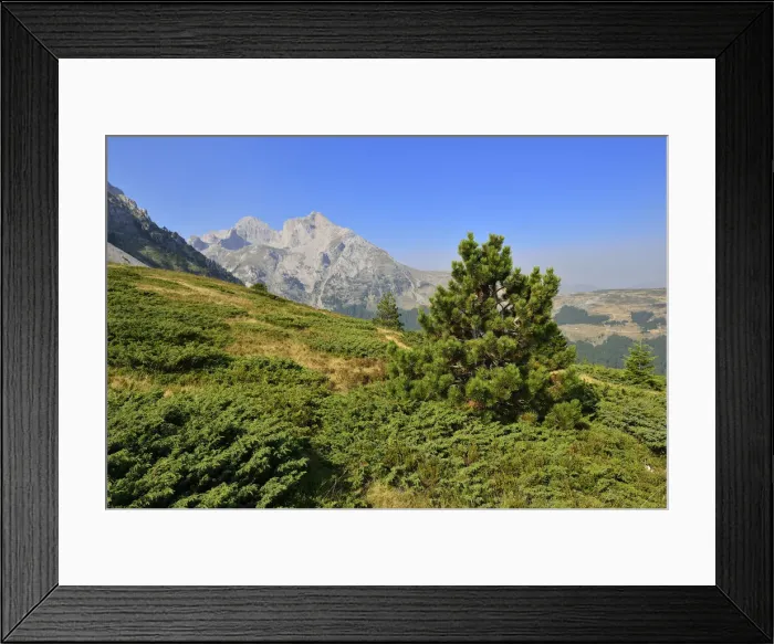 Framed Print : View towards Kom Ljevorijecki Mountain, 2464 m, Komovi Mountains, Montenegro, Crna Gora, The Balkans, Europe Framed Print : View towards Kom Ljevorijecki Mountain, 2464 m, Komovi Mountains, Montenegro, Crna Gora, The Balkans, Europe