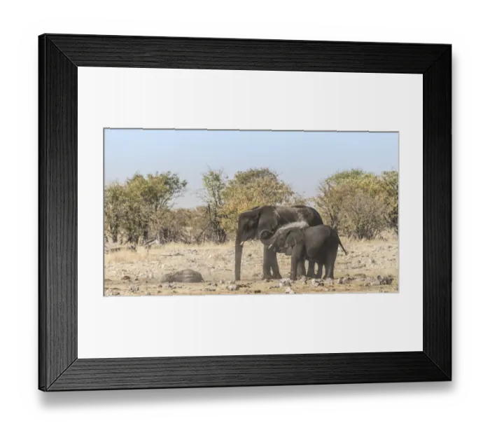 Framed Print : African Elephant -Loxodonta africana- adult with calf taking a dust bath, Rietfontein waterhole, Etosha National Park, Namibia Framed Print : African Elephant -Loxodonta africana- adult with calf taking a dust bath, Rietfontein waterhole, Etosha National Park, Namibia