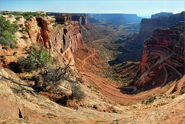 Rugged canyons of Shafer Canyon and the Shafer Trail Road, Island in the Sky plateau, Canyonlands National Park, near Moab, Utah, United States