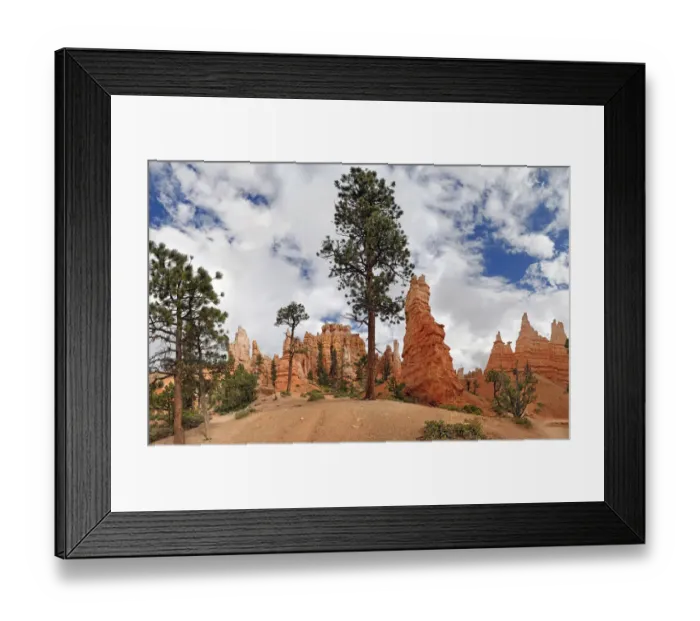 Framed Print : Queens Garden, a landscape formed by erosion with sandstone pillars or hoodoos, with pine trees, Bryce Canyon National Park, Utah, United States Framed Print : Queens Garden, a landscape formed by erosion with sandstone pillars or hoodoos, with pine trees, Bryce Canyon National Park, Utah, United States