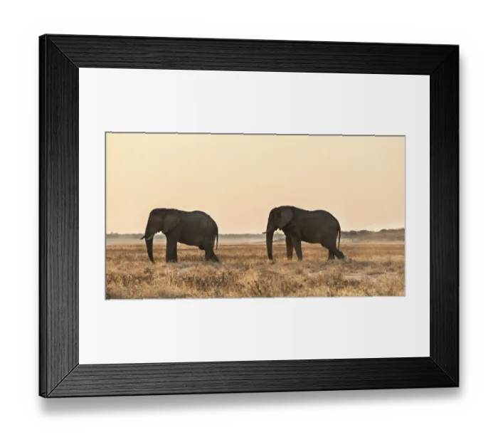 Framed Print : African Elephant -Loxodonta africana-, Etosha National Park, Namibia