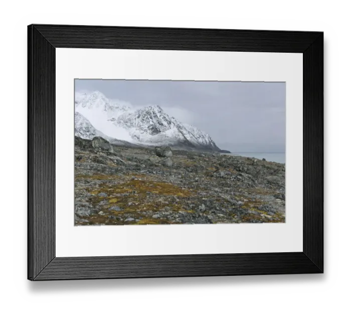 Framed Print : Rocky landscape with moss, Magdalenefjorden, Spitsbergen, Spitsbergen Island, Svalbard Archipelago, Svalbard and Jan Mayen, Norway
