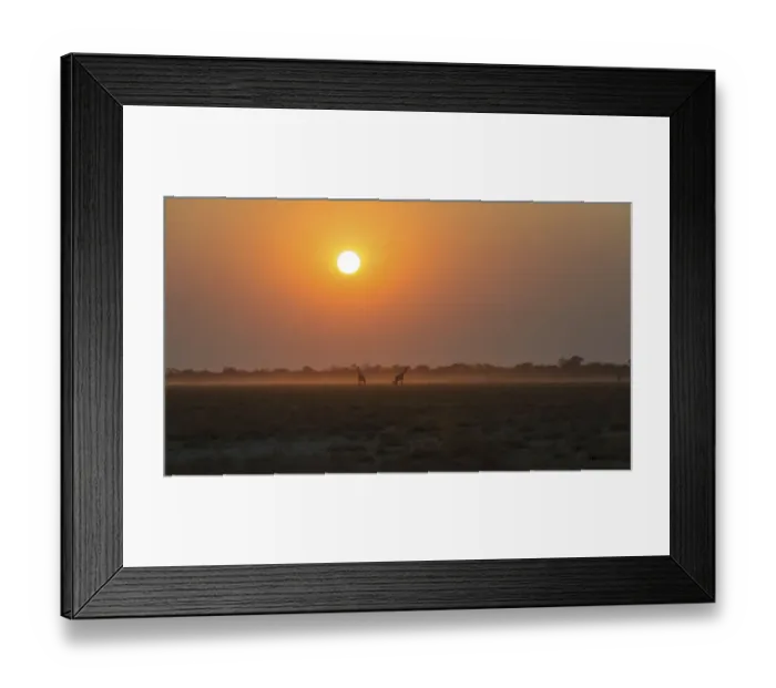 Framed Print : Giraffes -Giraffa camelopardis- at sunset, Etosha National Park, Namibia Framed Print : Giraffes -Giraffa camelopardis- at sunset, Etosha National Park, Namibia