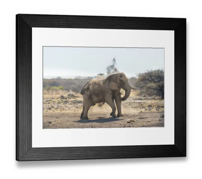 Framed Print : African Bush Elephant -Loxodonta africana- taking a dust bath, Koinachas waterhole, Etosha National Park, Namibia Framed Print : African Bush Elephant -Loxodonta africana- taking a dust bath, Koinachas waterhole, Etosha National Park, Namibia