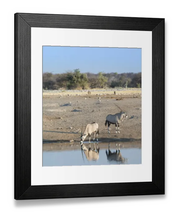 Framed Print : Gemsboks -Oryx gazella- at the waterhole Chudop, Etosha National Park, Namibia Framed Print : Gemsboks -Oryx gazella- at the waterhole Chudop, Etosha National Park, Namibia