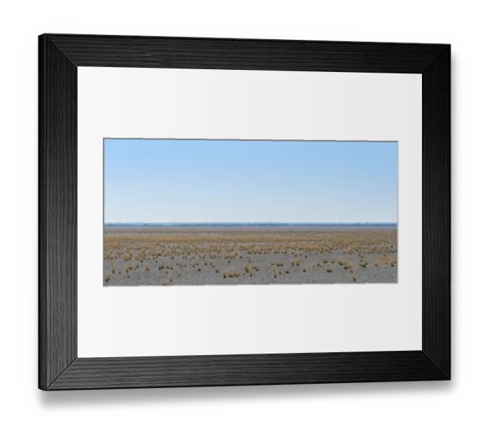 Framed Print : Dry tufts of grass at the edge of the Etosha Pan, salt pan, Etosha National Park, Namibia Framed Print : Dry tufts of grass at the edge of the Etosha Pan, salt pan, Etosha National Park, Namibia