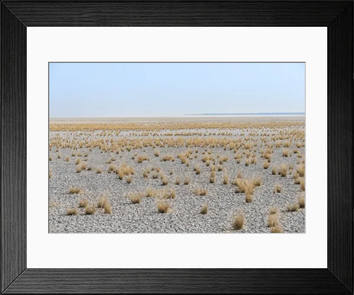 Framed Print : Dry tufts of grass at the edge of the Etosha Pan, salt pan, Etosha National Park, Namibia Framed Print : Dry tufts of grass at the edge of the Etosha Pan, salt pan, Etosha National Park, Namibia