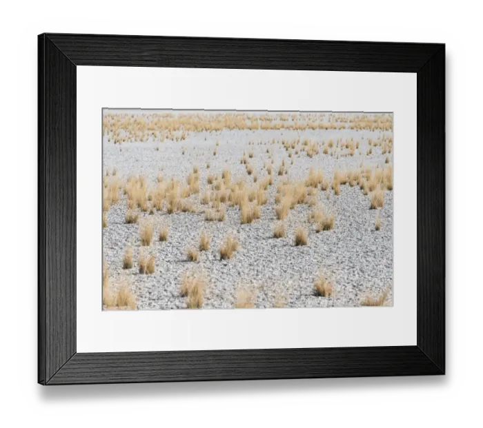 Framed Print : Dry tufts of grass at the edge of the Etosha Pan, salt pan, Etosha National Park, Namibia Framed Print : Dry tufts of grass at the edge of the Etosha Pan, salt pan, Etosha National Park, Namibia