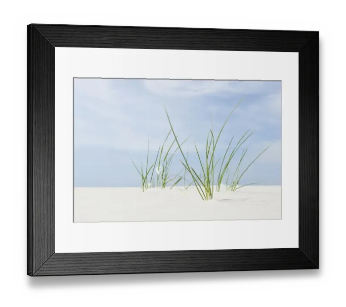 Framed Print : Marram Grass, Amrum, North Frisia, Schleswig-Holstein, Germany, Europe