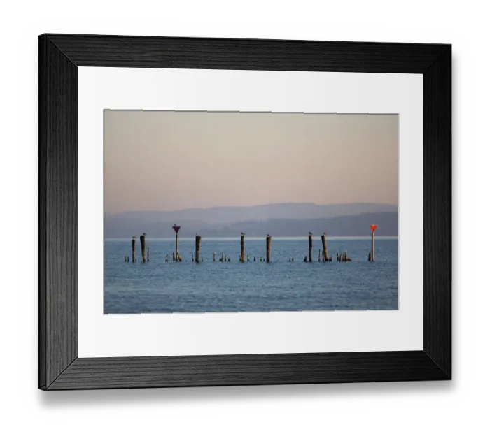 Framed Print : Early morning mood in the port of Guettingen, Lake Constance, Switzerland, Europe, PublicGround